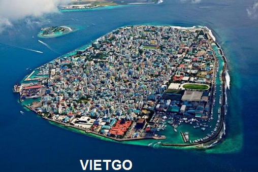 tỏi việt nam xuất khẩu